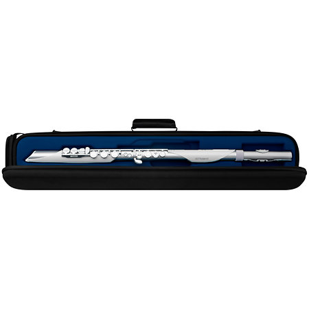 Aerophone Brisa Roland