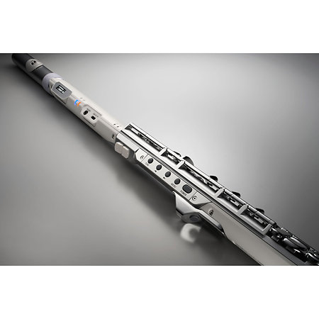 Aerophone Brisa Roland