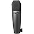 Studio Pro M2 Peavey