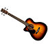 000CJRE Bass Burst Gaucher Martin Guitars