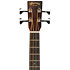 000CJRE Bass Burst Gaucher Martin Guitars