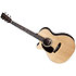 GPC-16E Rosewood LH Martin Guitars