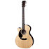 GPC-16E Rosewood LH Martin Guitars