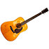 D-18 Street Legend Martin Guitars