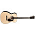 Custom Shop 00 EIR C22069797 Martin Guitars