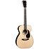 Custom Shop 00 EIR C22069797 Martin Guitars