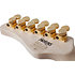 Meegs PT EX Charcoal Burst Schecter