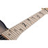 Meegs PT EX Charcoal Burst Schecter