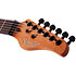 PT Standard Purple Burst Burl Schecter