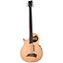Alien Natural Satin 5 Cordes Gaucher Warwick