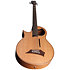 Alien Natural Satin 5 Cordes Gaucher Warwick