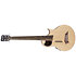 Alien Fretless 6 Cordes Natural Satin Warwick