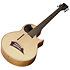 Alien Fretless 6 Cordes Natural Satin Warwick