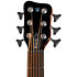 Alien Fretless 6 Cordes Natural Satin Warwick