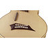 Alien Fretless 6 Cordes Natural Satin Warwick