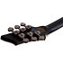 Ernie C C-1 FR Satin Black Reign Schecter