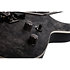 Ernie C C-1 FR Satin Black Reign Schecter