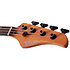 C-4 Standard Tobacco Burl Schecter