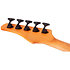 C-5 Standard Charcoal Satin Schecter