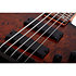 C-5 Standard Tobacco Burl Schecter