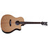 Deluxe Acoustic Natural Satin Schecter