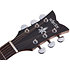 Deluxe Acoustic Natural Satin Schecter
