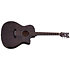 Deluxe Acoustic Satin See Thru Black Schecter