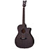 Deluxe Acoustic Satin See Thru Black Schecter