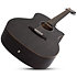 Deluxe Acoustic Satin See Thru Black Schecter
