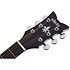 Deluxe Acoustic Satin See Thru Black Schecter