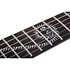 E-1 Patrick Kennison Floyd Rose Red Reign Schecter