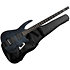 Radius Bass CR 4 Cordes Micro EMG + Piezo Charcoal Satin NS Design