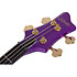 FreeZesicle-4 The Freeze signature Purple Schecter