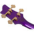 FreeZesicle-4 The Freeze signature Purple Schecter
