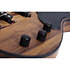 Model T4 Exotic Black Limba Schecter