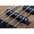 Model T4 Exotic Black Limba Schecter