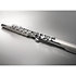 Aerophone Brisa Roland