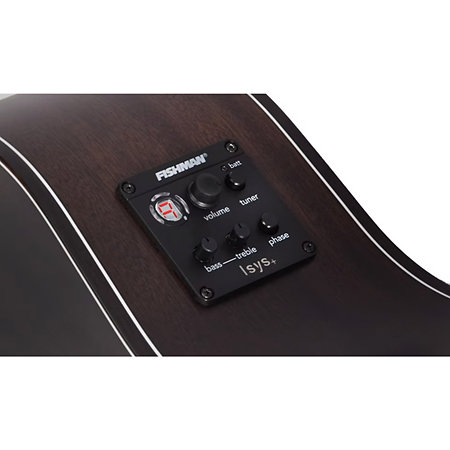 Orleans Studio Acoustic Satin See Thru Black Schecter