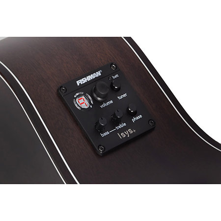 Orleans Studio-12 Acoustic Satin See Thru Black Schecter
