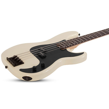P4 Ivory Schecter