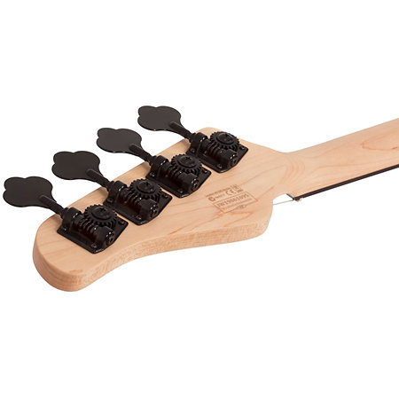 P4 Ivory Schecter
