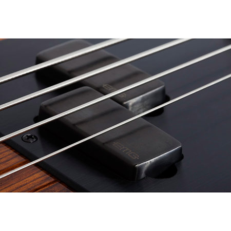 P4 Exotic Schecter