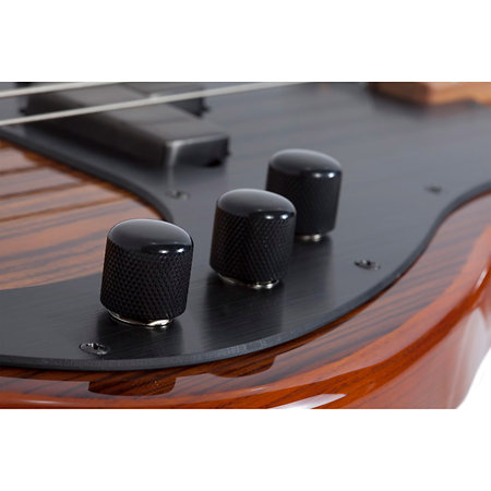P4 Exotic Schecter