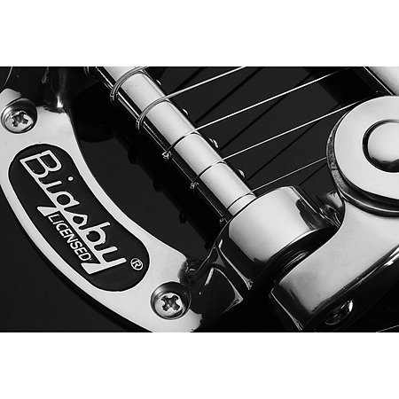 Pete Dee Signature Black Schecter
