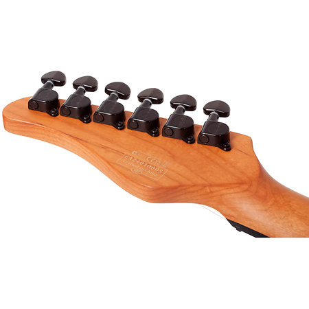 PT Standard Black Fade Burst Burl Schecter