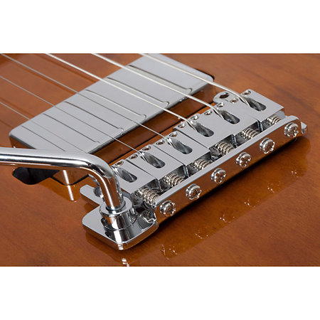 PT Van Nuys Gloss Natural Ash LH Schecter