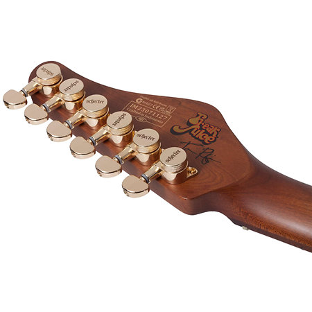 Tori Ruffin Freak Juice Traditional Juice Burst Schecter
