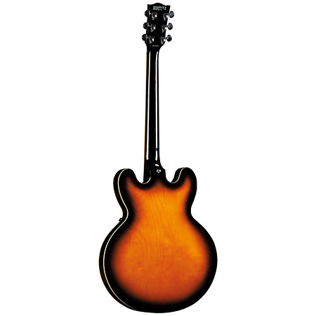 Hollowbody Fusion Sunburst EKO