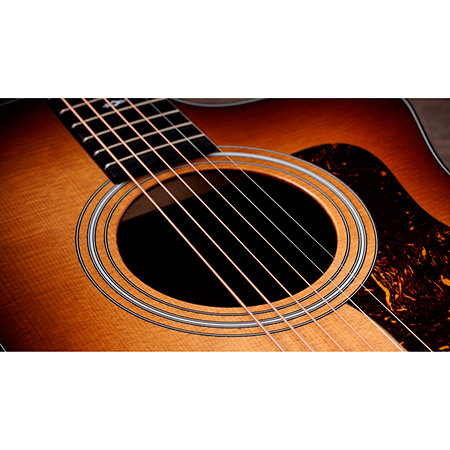 114ce Sunset Boulevard LTD SEB Taylor
