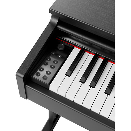 DP510 Black Gewa